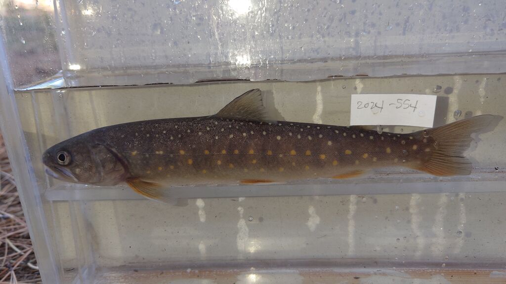 f5719523-896d-47ea-bb49-7b97878bf851