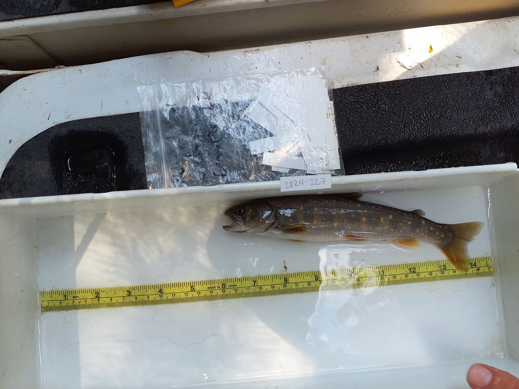 9ce337cb-04ac-4aaa-af69-2401c1be07a4