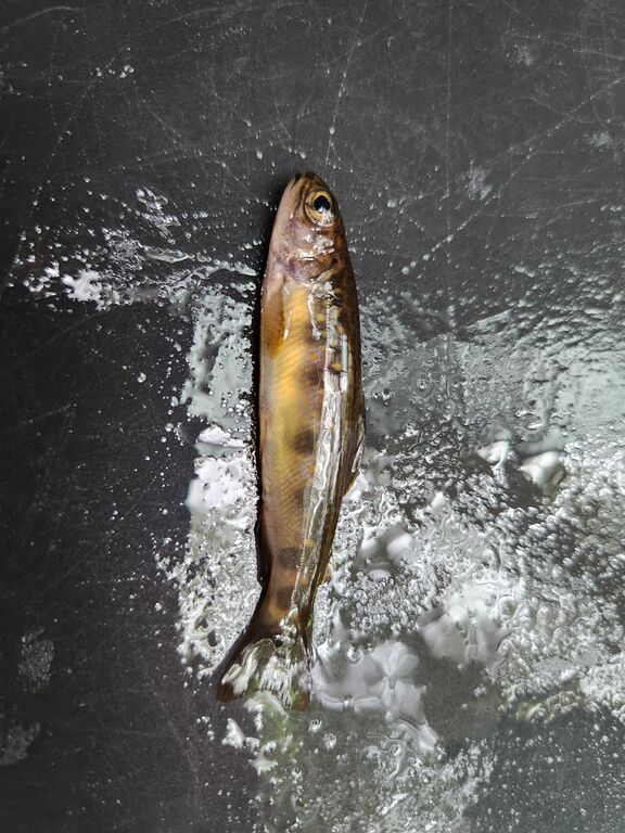 29e6758f-f542-446b-8e52-cad2b9baba1b