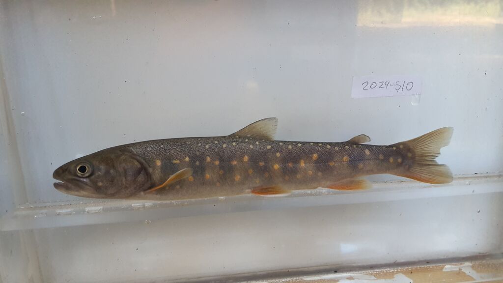 9ce337cb-04ac-4aaa-af69-2401c1be07a4