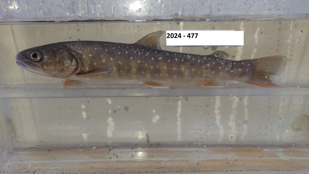 0711e03b-3951-451c-a172-afe97b831be2