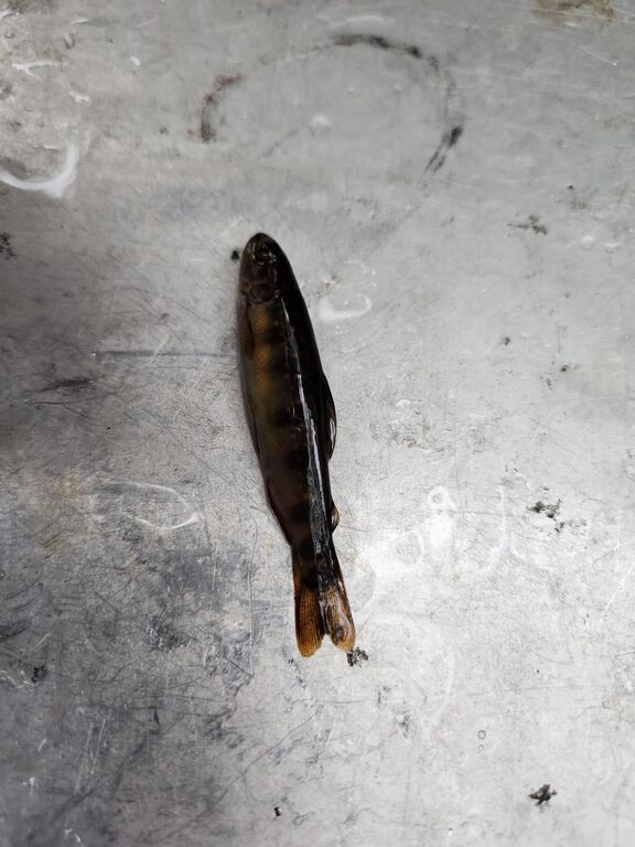 29e6758f-f542-446b-8e52-cad2b9baba1b